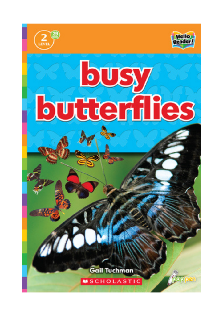 Busy Butterflies Scholastic