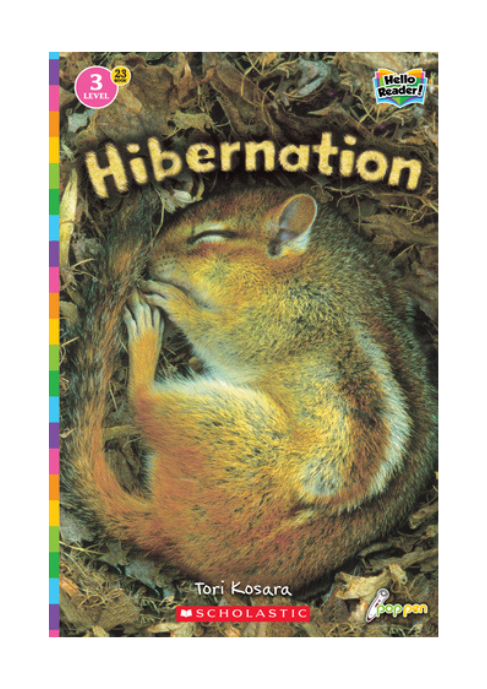 Hibernation