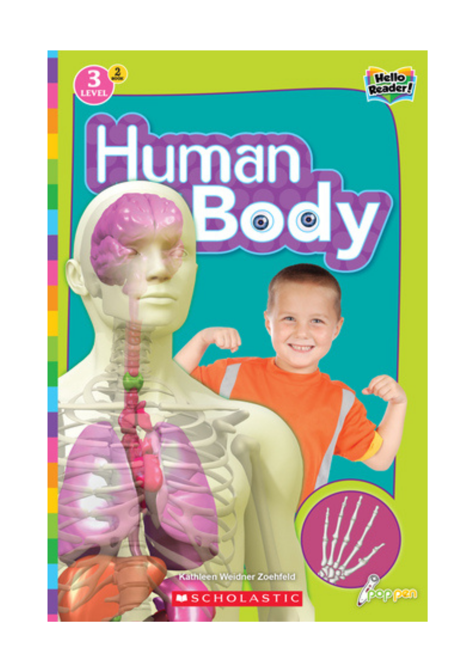 Human Body